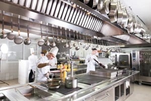 work of a group of chefs in a luxury restaurant