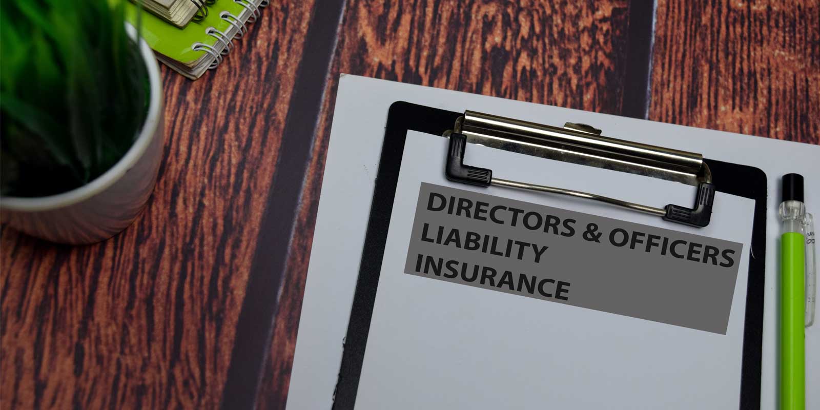 What Is Directors & Officers Insurance?