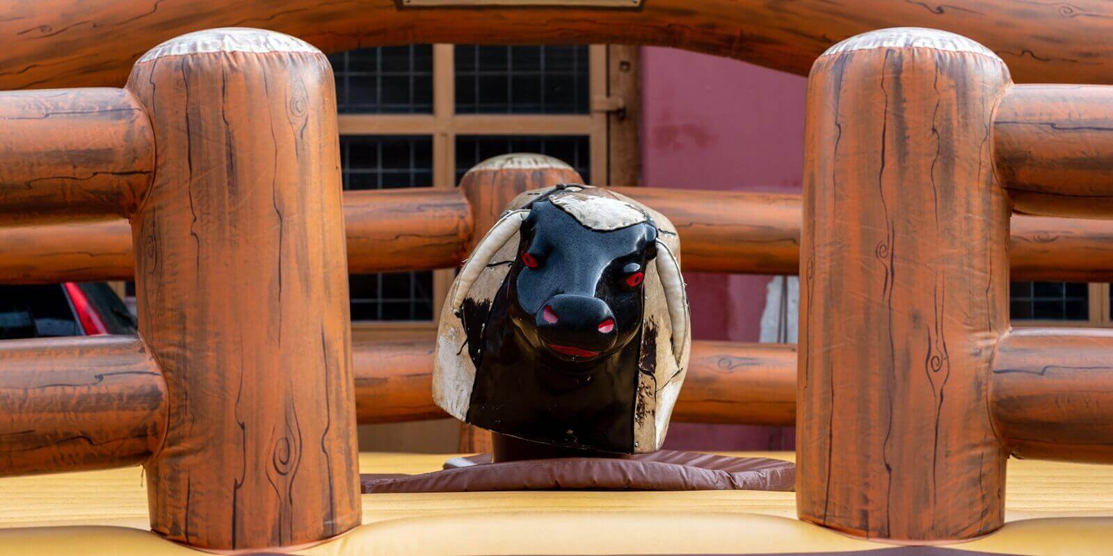 Insuring Against Accidents and Injuries in Your Mechanical Bull Business